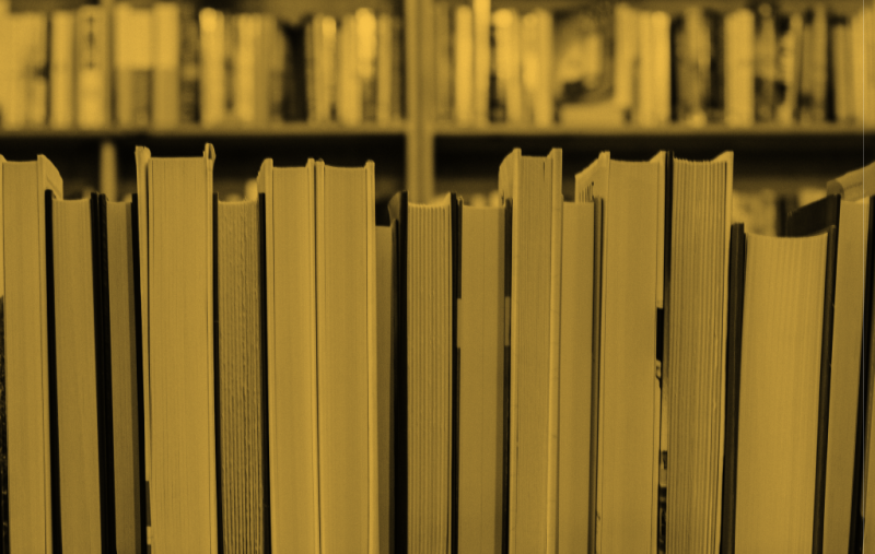 Ruszył nabór do „Badaj na Ukrainie”